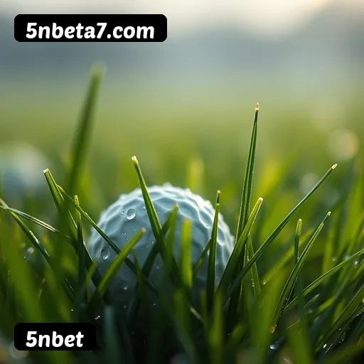 FAQ 5nbet Brasil - Perguntas frequentes sobre bônus, PIX, RTP, APP mobile e VIP