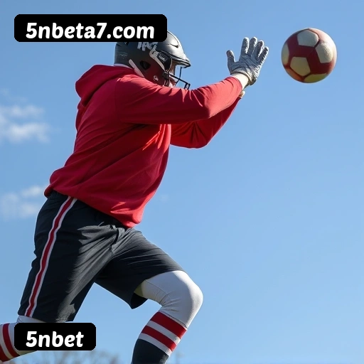 Níveis do programa VIP da 5nbet